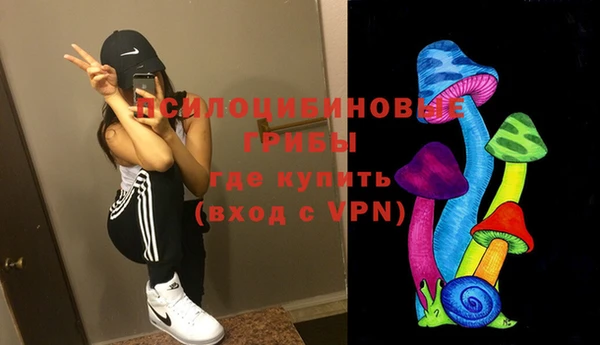 прущая мука Алзамай