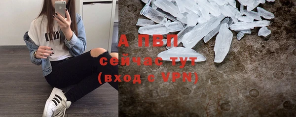 крисы Алексин